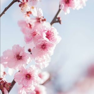 Meet your Posher, Joselyn